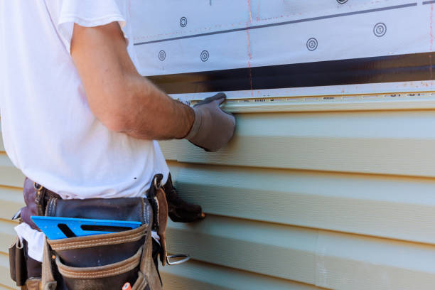 Affordable Vinyl Siding solutions in Palmetto, GA